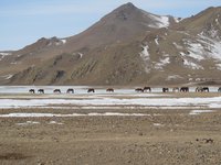 2017-03 mongolia